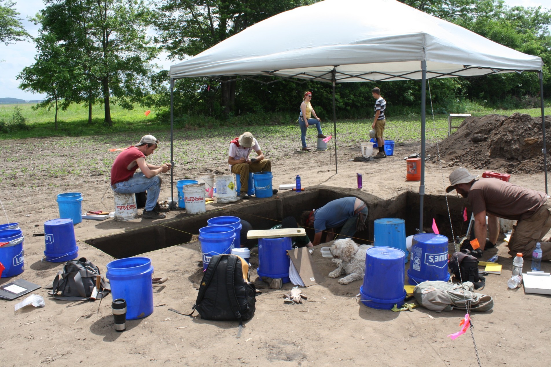 Students on archaeological dig