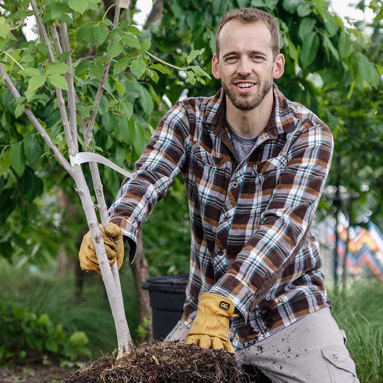 A man in a plaid shirt plants a tree. 